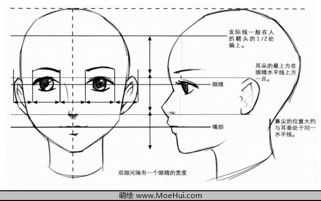 漫画入门-10.五官的定位与十字线的运用-绝对领域