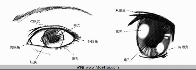 漫画入门-11.眼睛的绘制-绝对领域