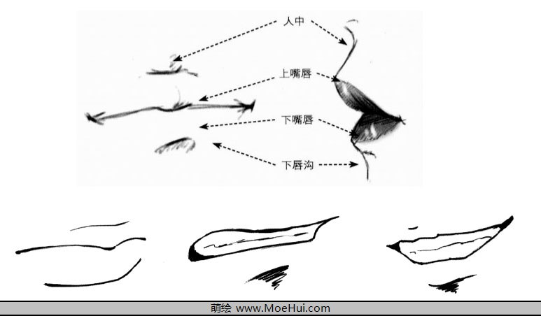 漫画入门-13.嘴与鼻的绘制-绝对领域