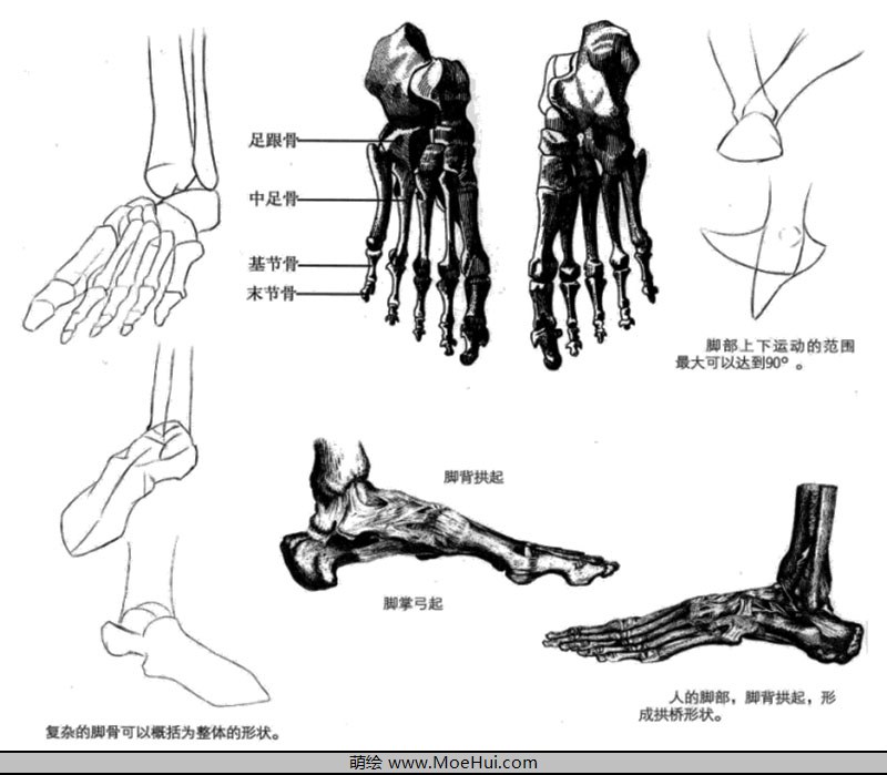 漫画入门-20.脚部的绘制-绝对领域