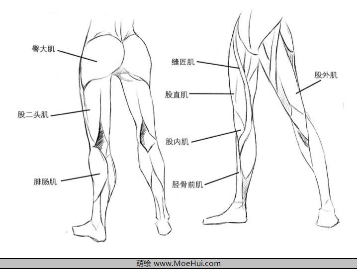 漫画入门-22.腿的绘制-绝对领域