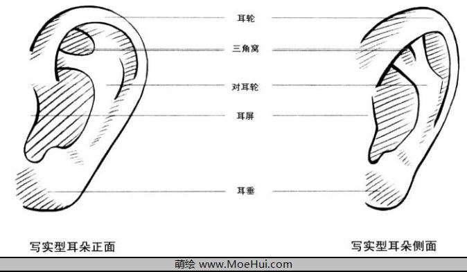 美少女漫画入门-耳、鼻、嘴的画法-绝对领域