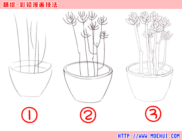 通用色铅笔入门练习-八千代-绝对领域