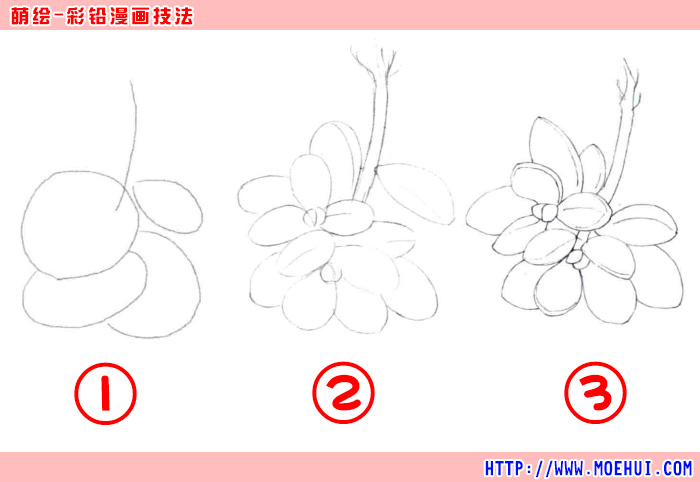 通用色铅笔入门练习-若歌诗-绝对领域