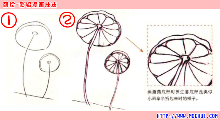 通用色铅笔入门练习-小蘑菇-绝对领域