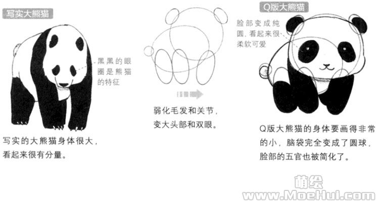 Q版漫画技法-136.Q版大熊猫的画法-绝对领域