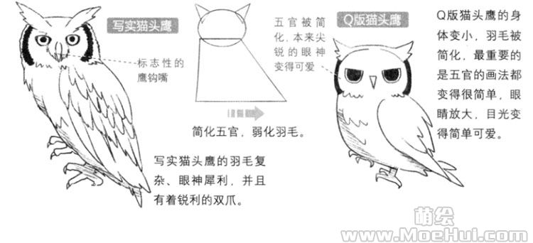 Q版漫画技法-146.Q版猫头鹰的画法-绝对领域