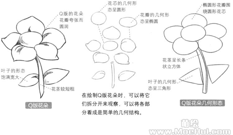 Q版漫画技法-153.Q版花朵的几何体表现-绝对领域