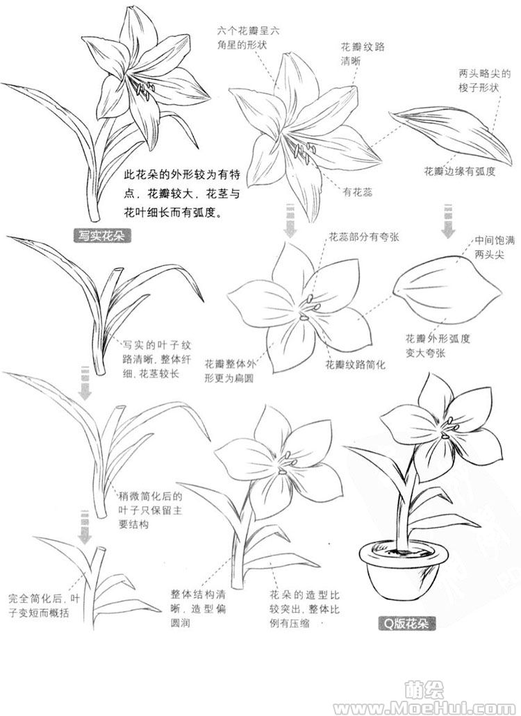 Q版漫画技法-155.Q版花草树木的细节简化-绝对领域