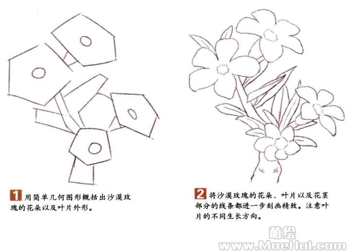 通用色铅笔入门练习-沙漠玫瑰-绝对领域