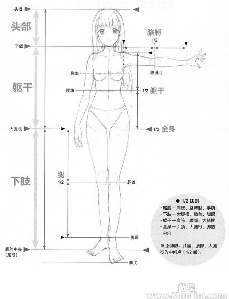 美少女漫画入门-01.身体平衡的基础：1/2法则-绝对领域