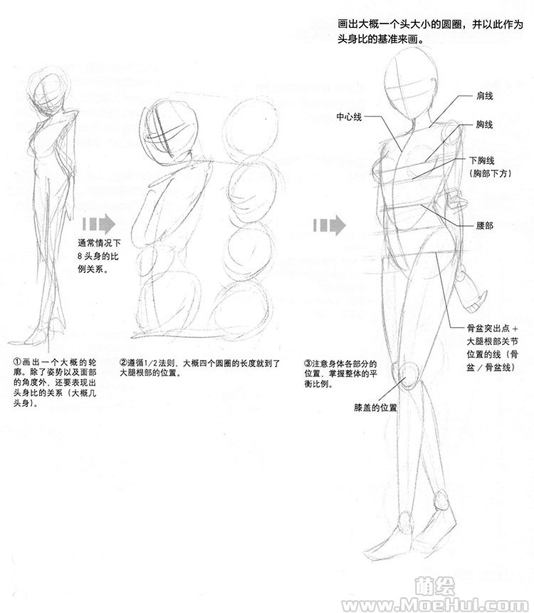 美少女漫画入门-07.利用头身比绘画的步骤-绝对领域