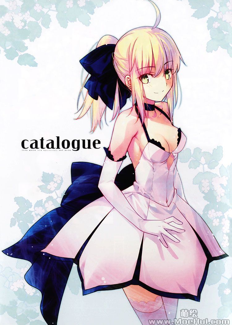 [会员][画集][Type-Moon]10周年纪念画集 catalogue[227P]-绝对领域