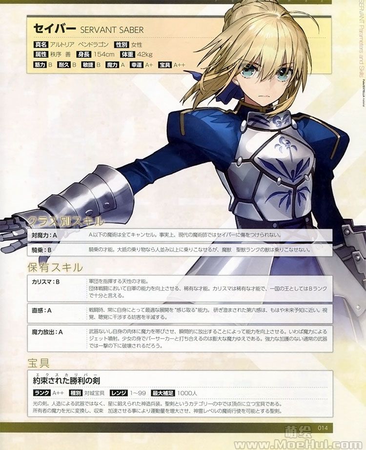 [会员][画集]Fate/EXTELLA material 资料设定集[118P]-绝对领域