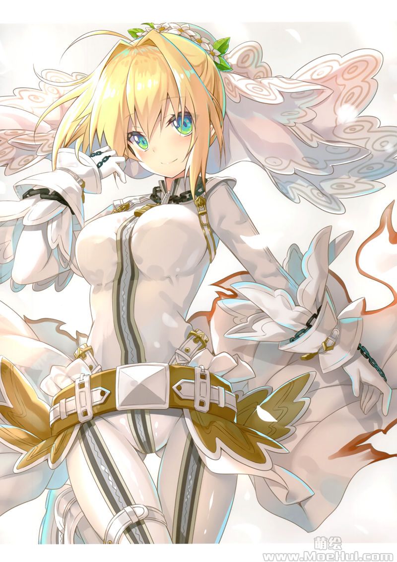 [会员][画集][アニマルハーブ (夜ノみつき)]FGO Fan Book -Memories-[15P]-绝对领域