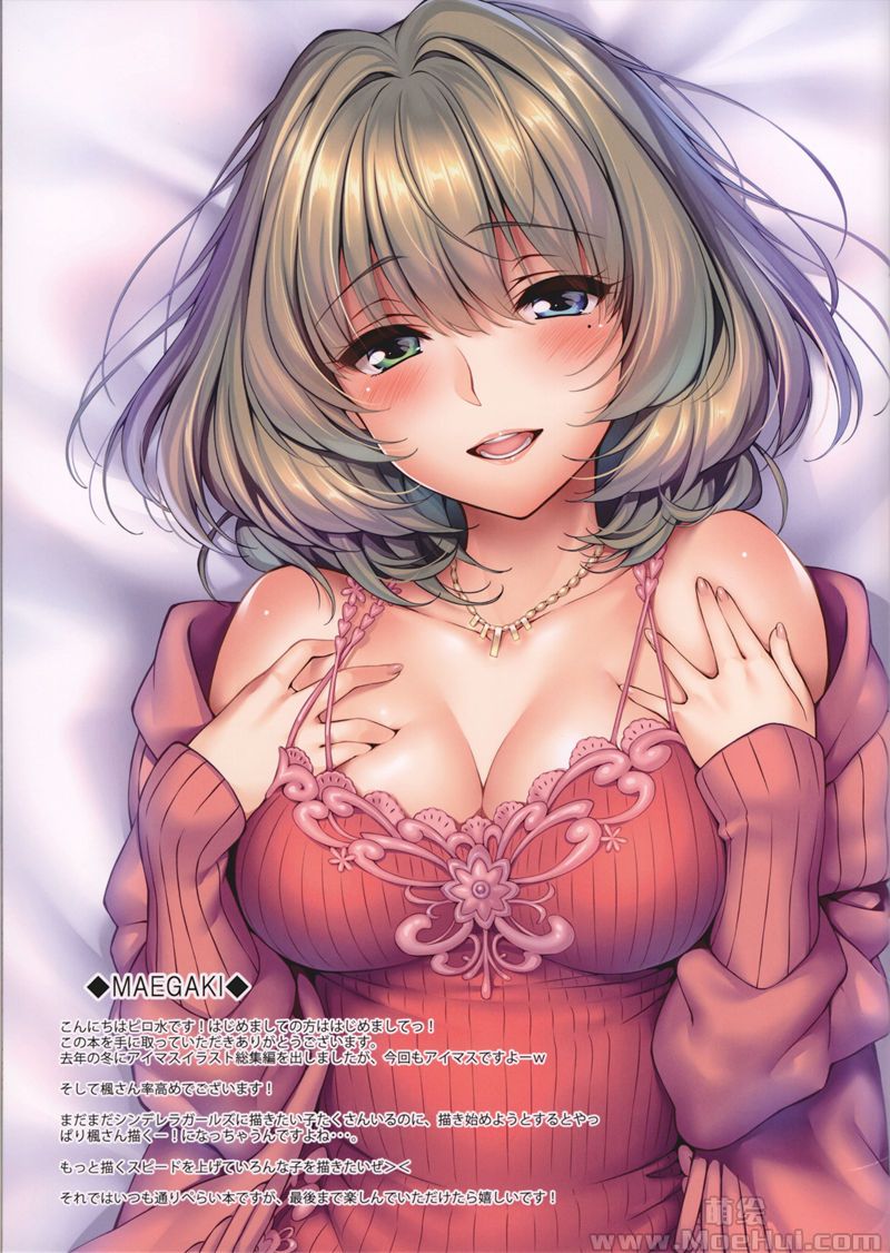 [会员][画集][まほ～びん (ピロ水)]My Cinderella IV[18P]-绝对领域