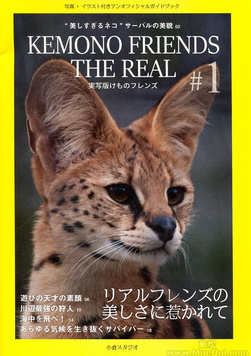 [会员][画集]Kemono Friends the Real #1[20P]-绝对领域