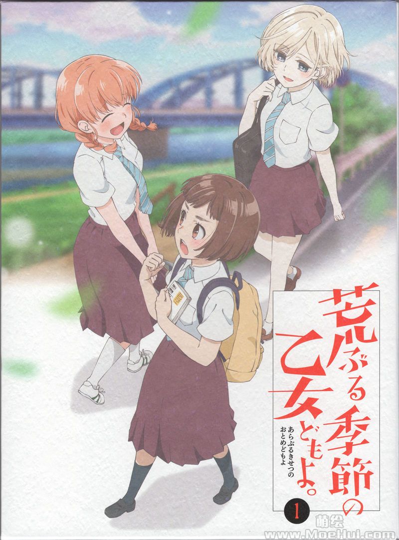 [会员][画集]荒ぶる季節の乙女どもよ。 BD Scans + Storyboard[87P]-绝对领域