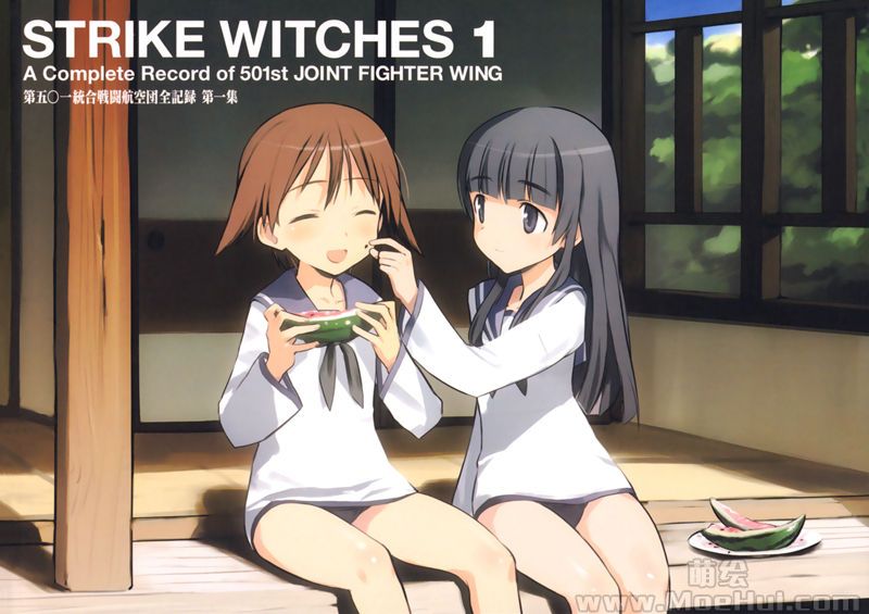 [会员][画集]Strike Witches 第五〇一統合戦闘航空団全記録 第一集+第二集[192P]-绝对领域