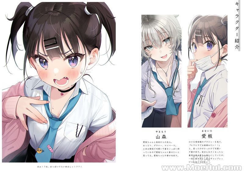 [会员][画集][さばみぞれ]愛板ちゃんはおっぱいがほしい[25P]-绝对领域