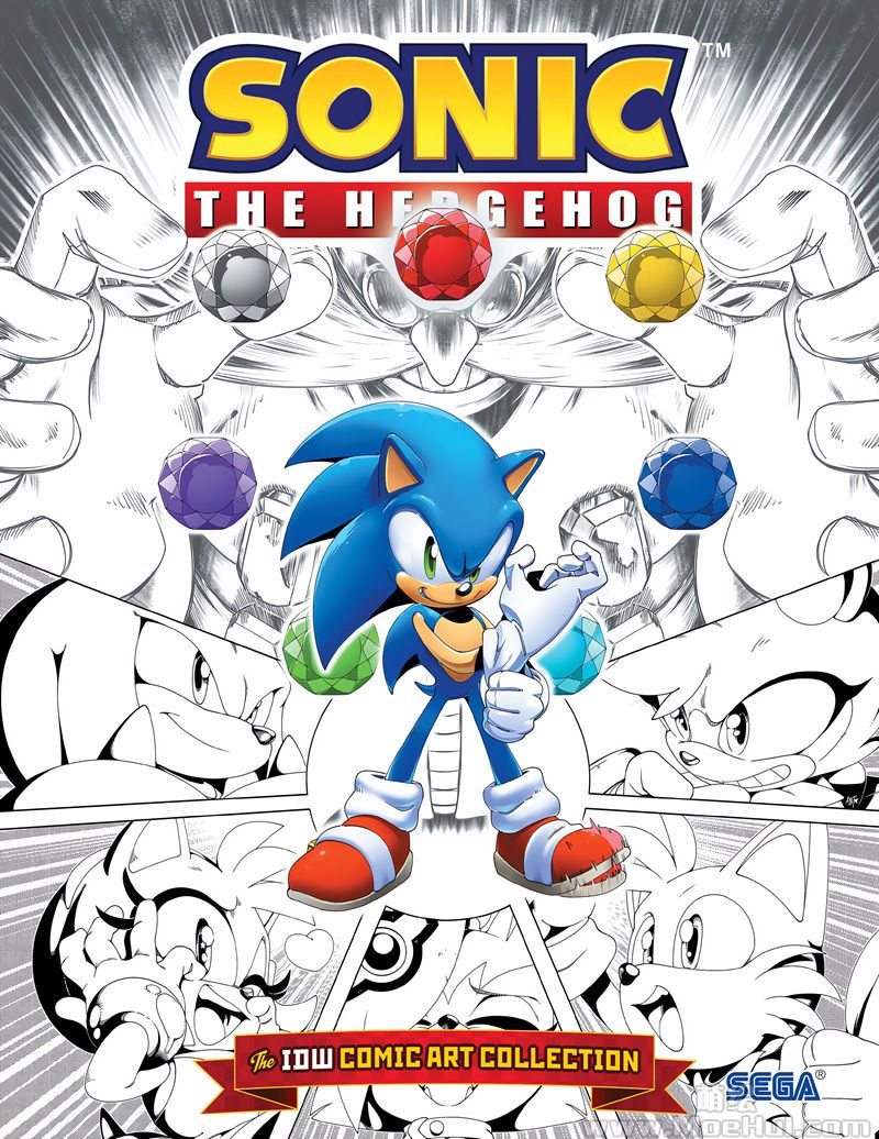 [会员][画集]Sonic The Hedgehog The IDW Comic Art Collection[120P]-绝对领域