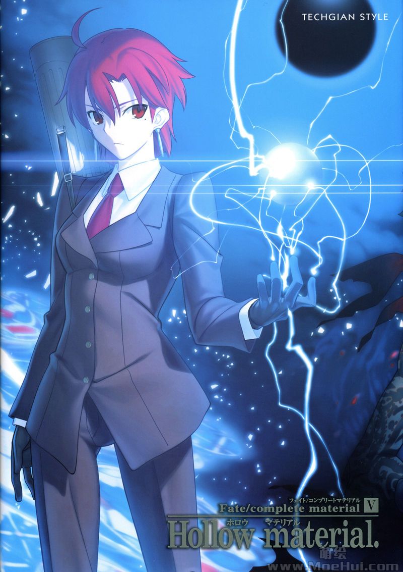 [会员][画集][Type-Moon]Fate/complete material V – Hollow material[351P]-绝对领域